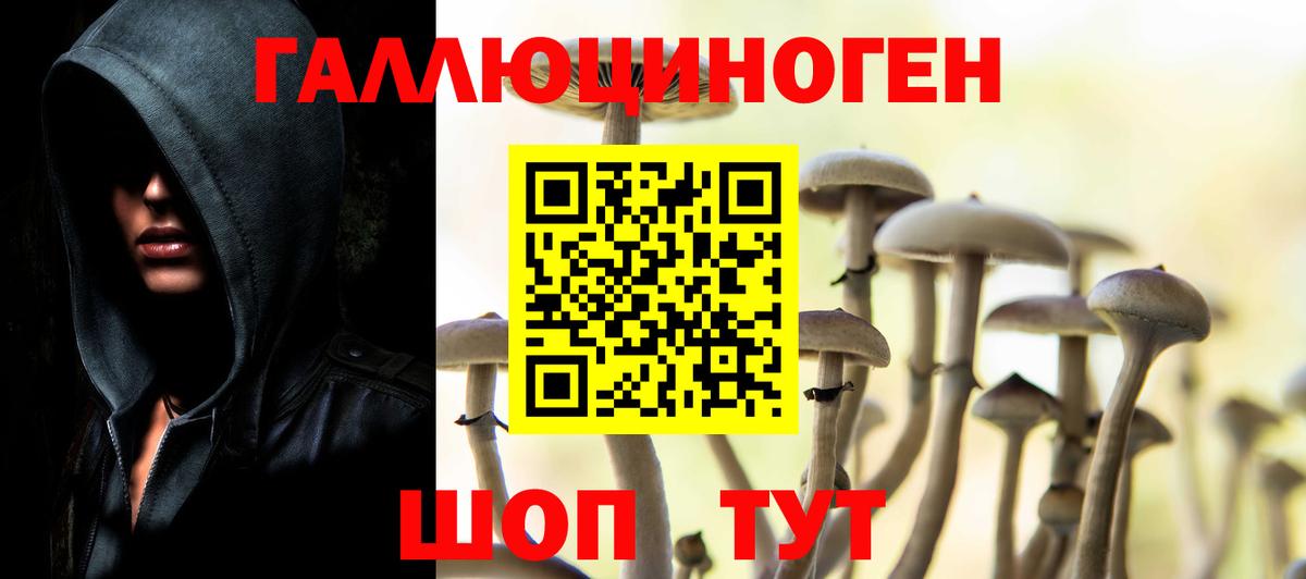 Галлюциногенные грибы мицелий  Вход с VPN  закладки  Тверь 